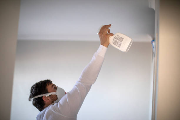 Home Mold Removal in Boston, MA