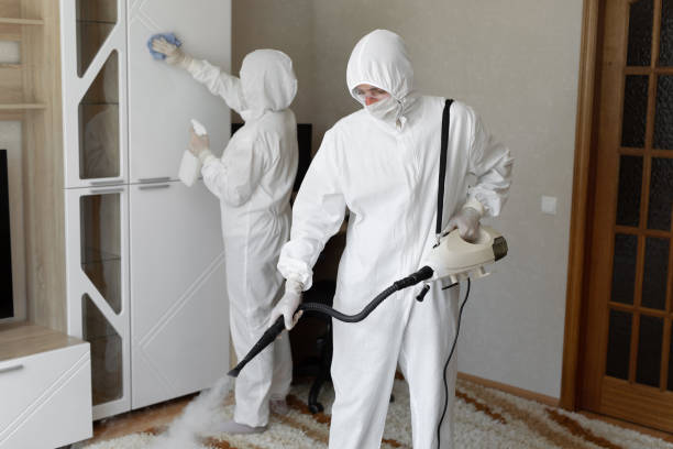 Trusted Boston, MA Mold Removal Experts