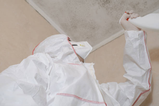 Best Mold Testing  in Boston, MA